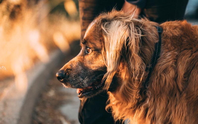 The 8 Most Affordable Michelin Restaurants in Paris